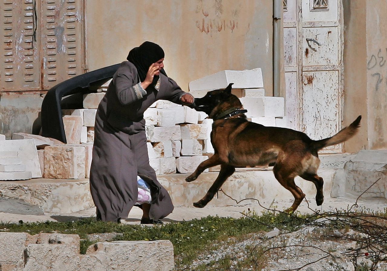 Een hond van het Israëlische leger valt een Palestijnse vrouw aan nabij Bethlehem op de Westelijke Jordaanoever.