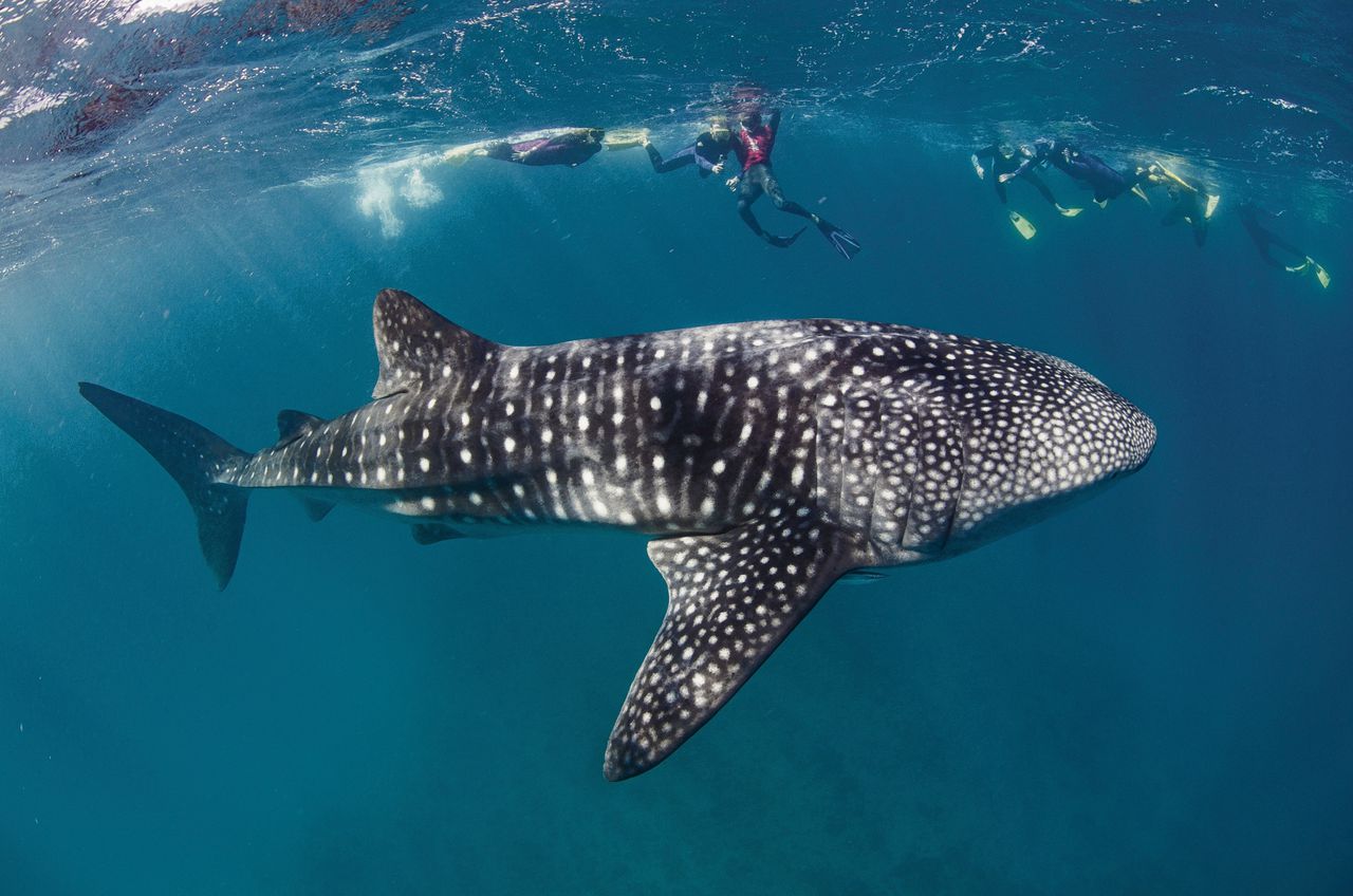 Hoe groot is een cdrom hoesje? GoeieVraag