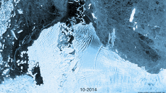 Op deze timelapse van satellietfoto’s is te zien hoe de ijsplaat van de Thwaites Glacier in West-Antarctica tussen oktober 2014 en december 2021 beweegt, scheurt en afbrokkelt.