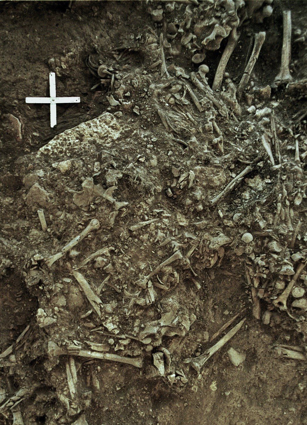 Stoffelijke resten van een vrouw die 4.900 jaar geleden in Zweden overleed met pest.
