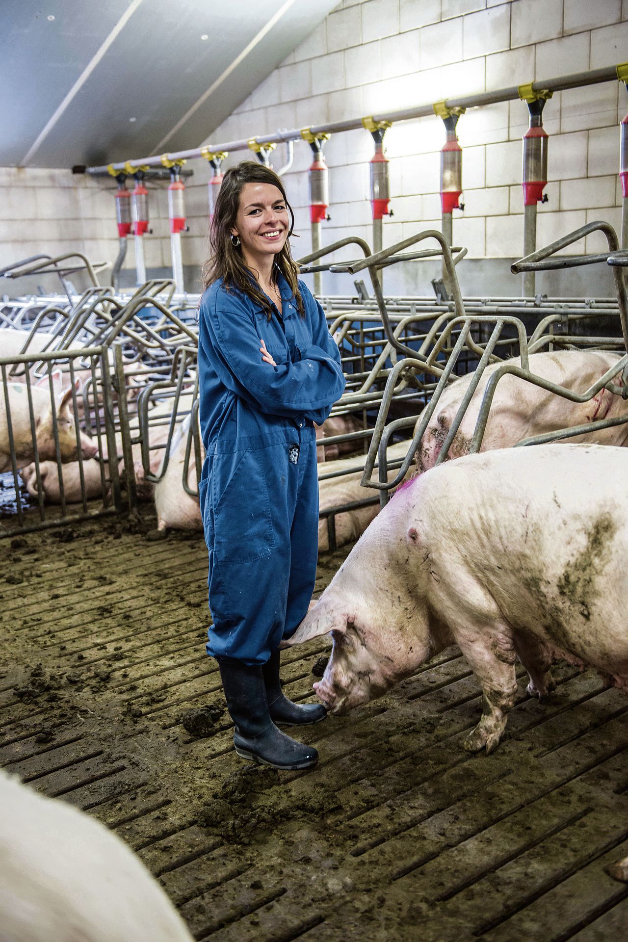 Ingrid Jansen, voorzitter van de Nederlandse Vakbond Varkenshouders (NVV), in een varkensstal.