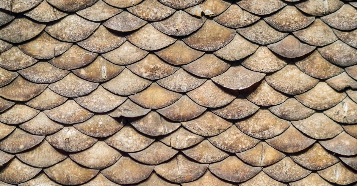 Verdachte tegen wil en dank - NRC