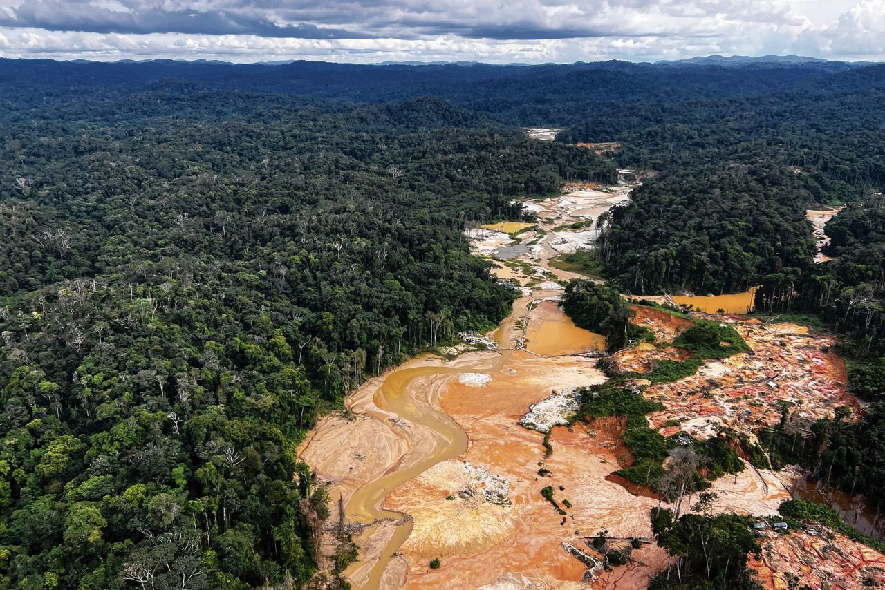 In de Amazone heeft de illegale houtkapper geen vrij spel meer - maar hem definitief verjagen is lastig 