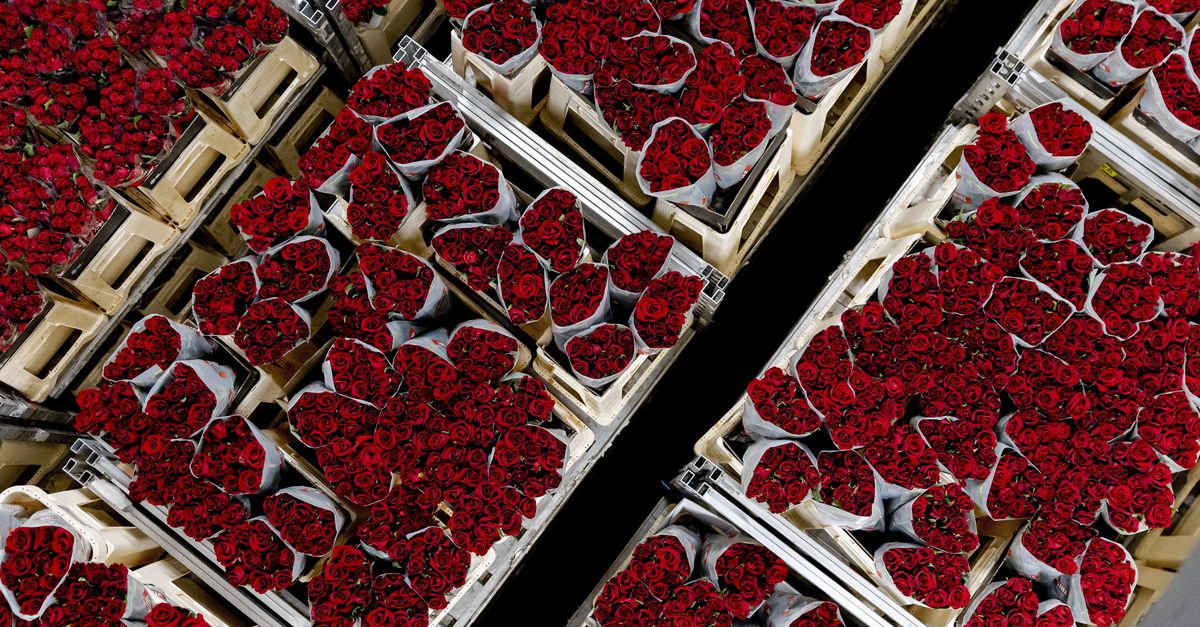 Composteerders bezorgd over kwaliteit compost door (verboden) gif op rozen