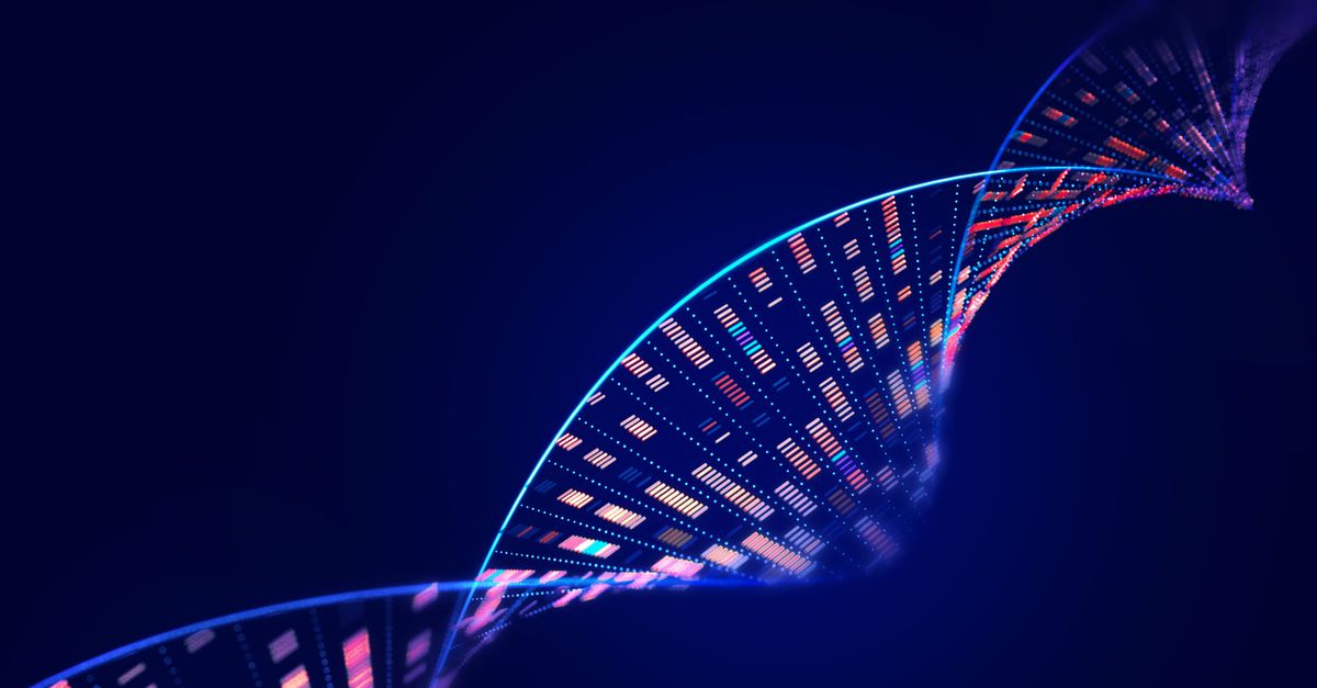 I ricercatori olandesi scoprono come può piegarsi un filamento di DNA