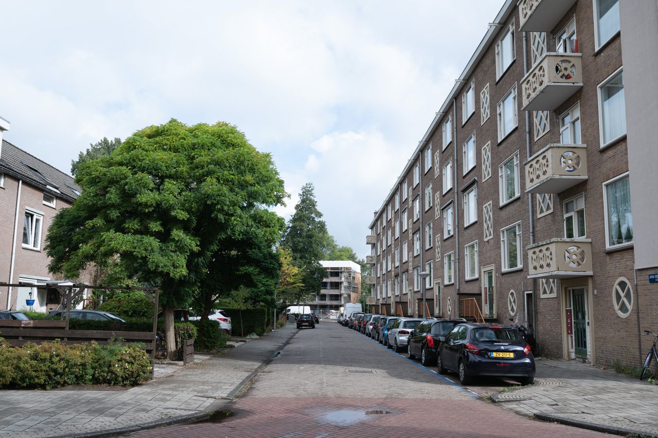 Anna Bijnsstraat 