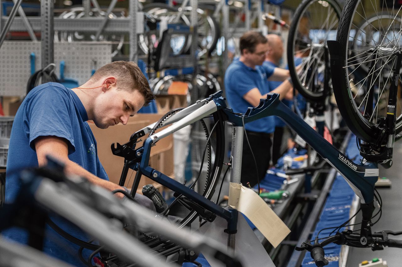 accell group bikes