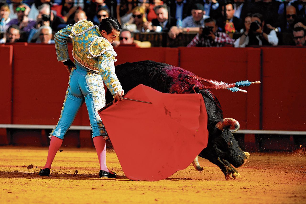 Nederlander in Spanje opgepakt om verstoren stierengevecht 