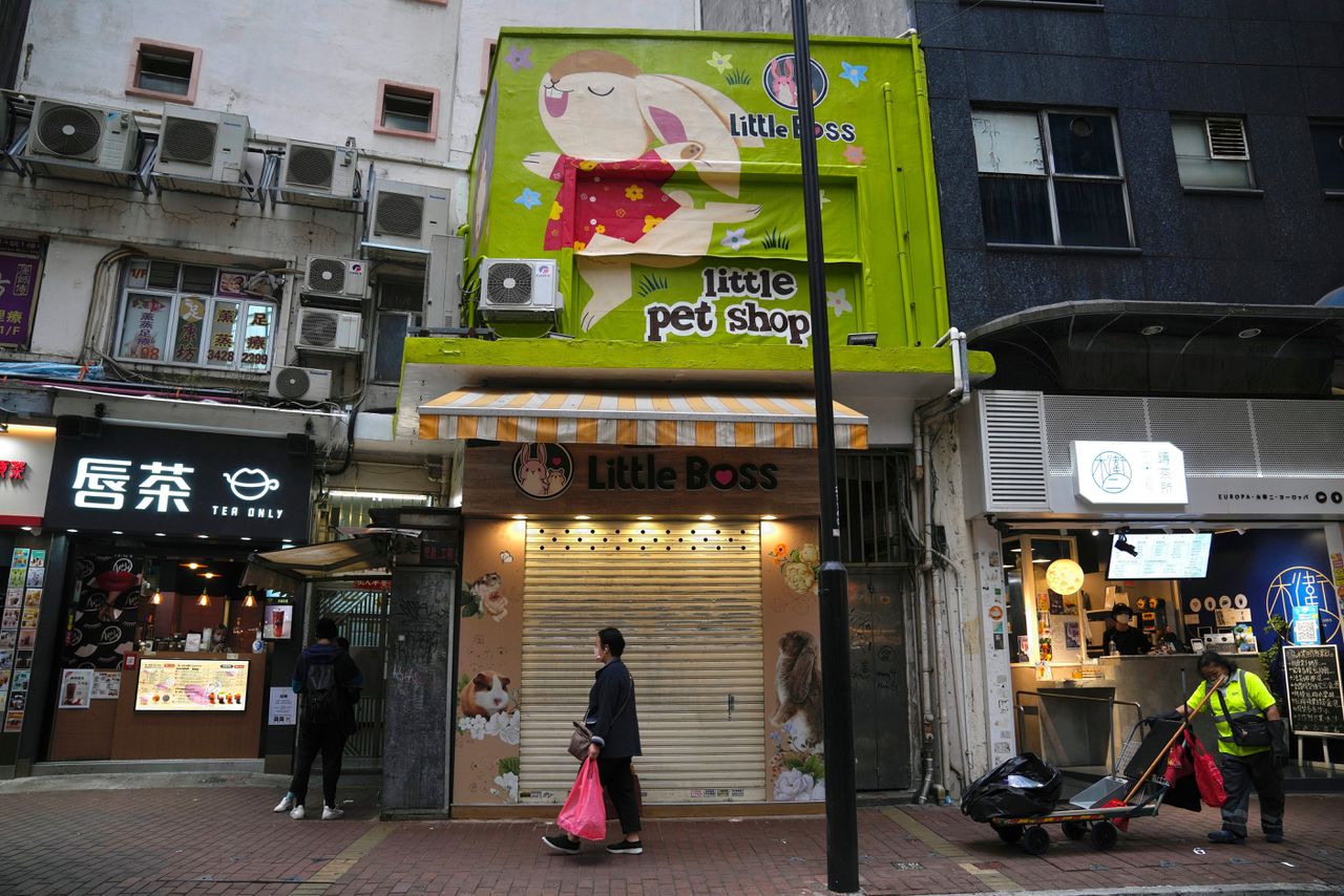 Dierenwinkel Little Boss in Hongkong, waar Nederlandse besmette hamsters zouden zijn verkocht. Foto Kin Cheung/AP