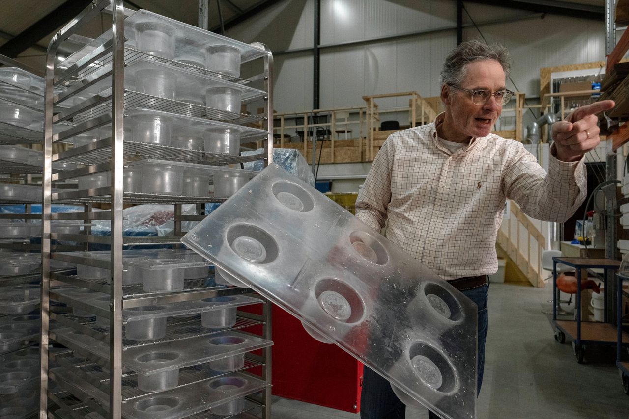 Dit Gelderse bedrijf maakt verpakkingsmaterialen van schimmel: ‘Na een paar uur ruik je niks meer’ 