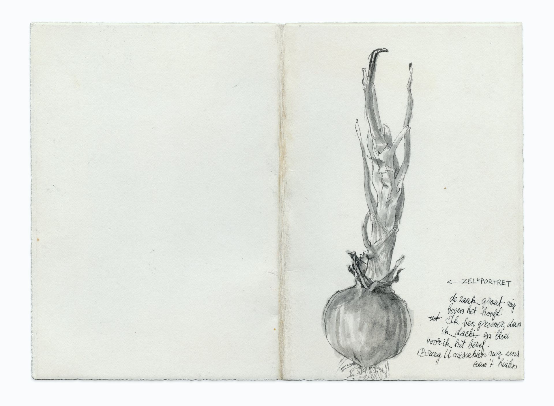 Getekende post van Peter Vos - NRC