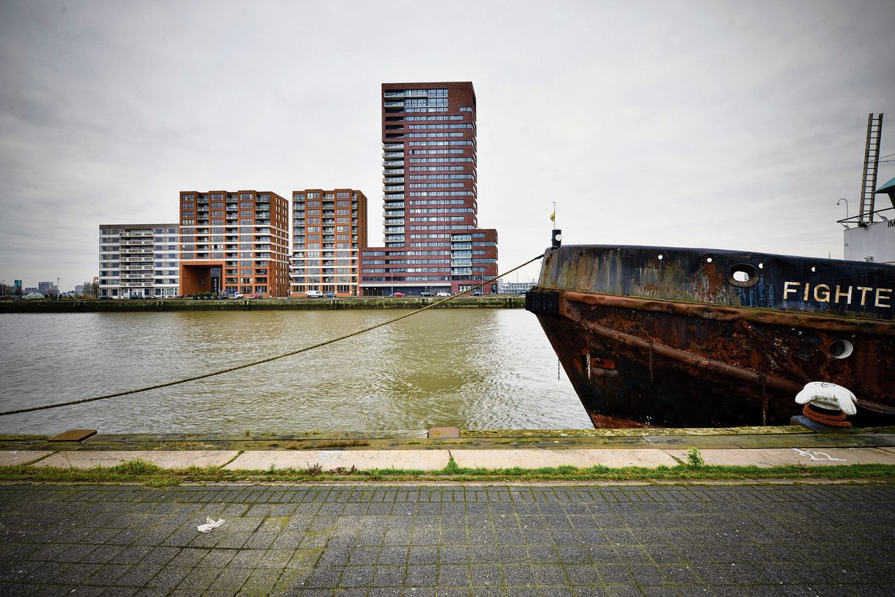 Uitzicht op de Kratonkade op de Lloydpier tussen de Schiehaven en de Nieuwe Maas. Een groot deel van de pier is nu nog onbebouwd.
