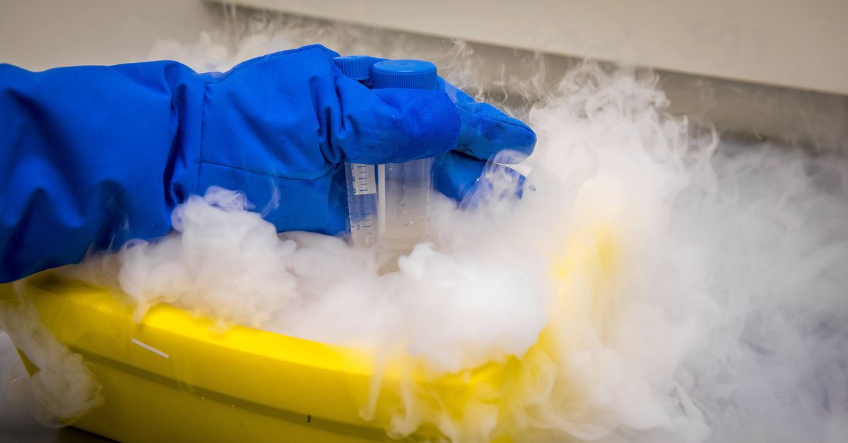 Leidse biotechbedrijf Pharming krijgt forse tik op de beurs na vragen toezichthouder VS