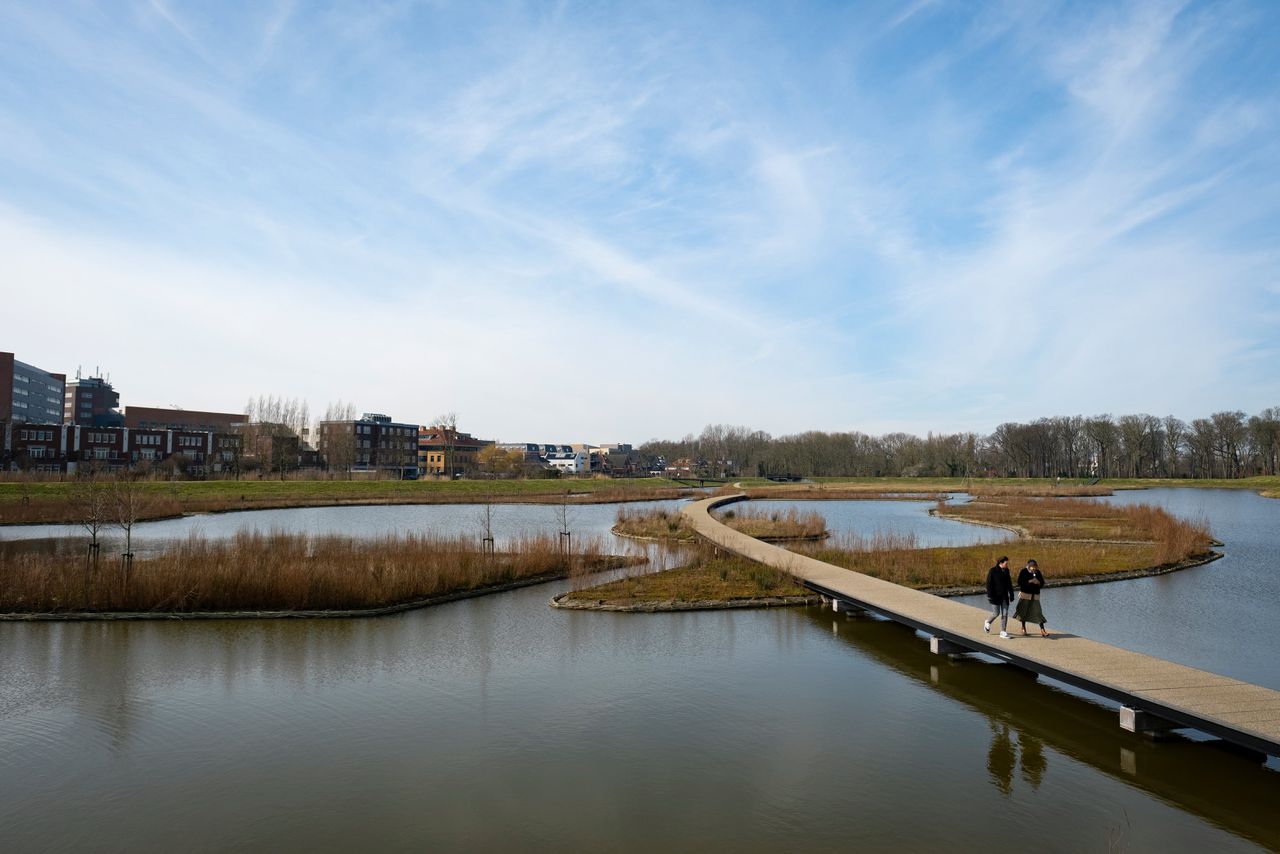 Het Molenvlietpark in Den Haag, waar een waterberging is aangelegd van verbonden vijvers. Die kunnen een grote hoeveelheid regenwater opvangen.
