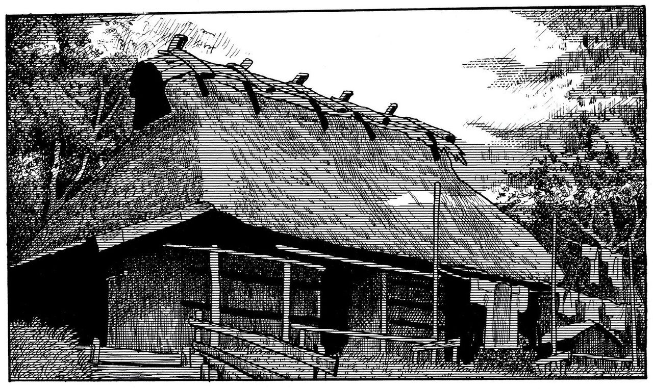 Beeld uit de strip ‘The Swamp’ van Yoshiharu Tsuge.