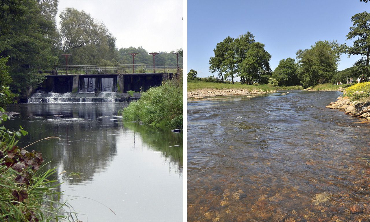 De rivier de Gudenaa in Denemarken voor en na 2008, toen de dam in het water verwijderd werd.