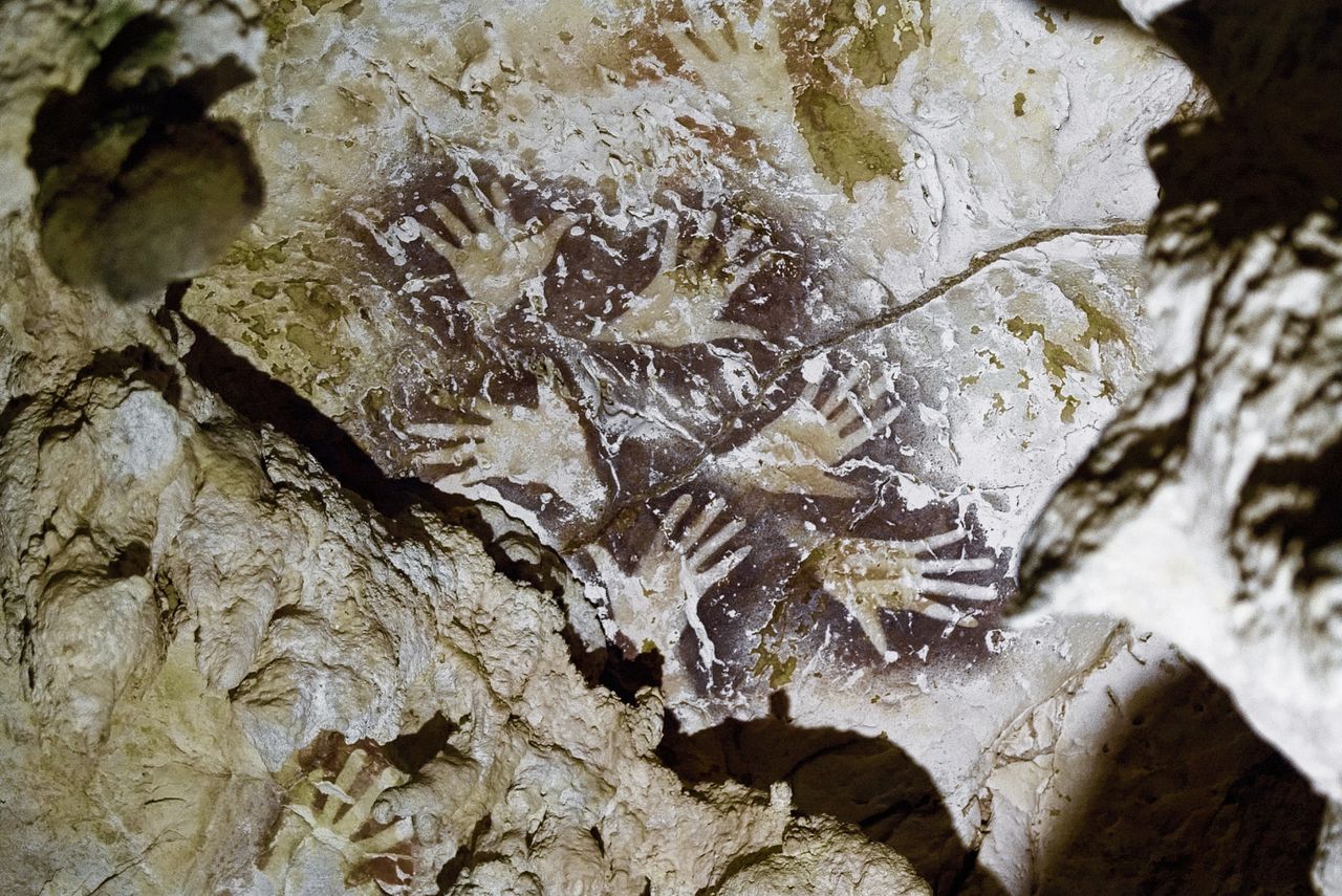 Oeroude rotstekeningen ontdekt op Borneo  