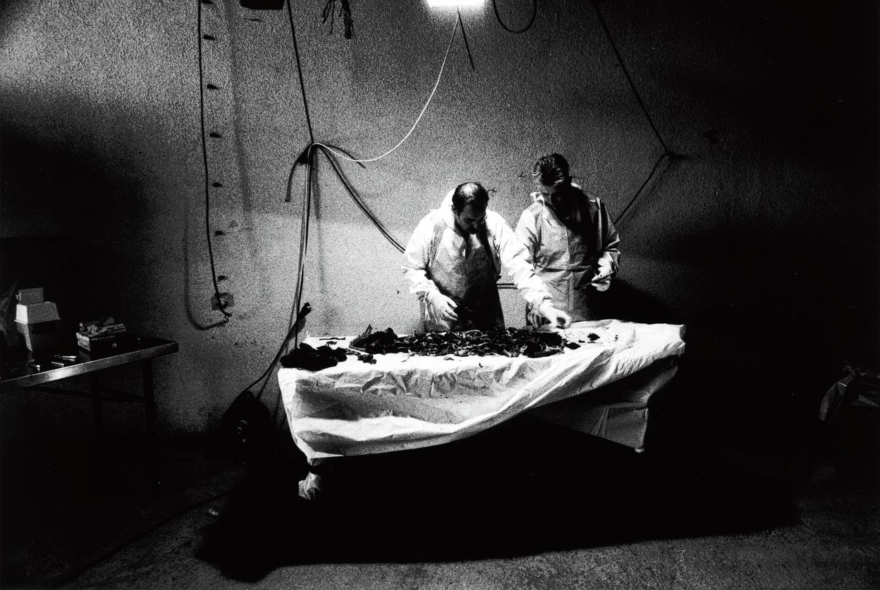 Een Nederlandse patholoog anatoom van het Joegoslavië-tribunaal onderzoekt lichamen uit een massagraf in Kosovo in 1999. Zijn bevindingen dienden als bewijsmateriaal tegen Servische verdachten.