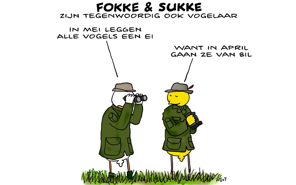 F & S