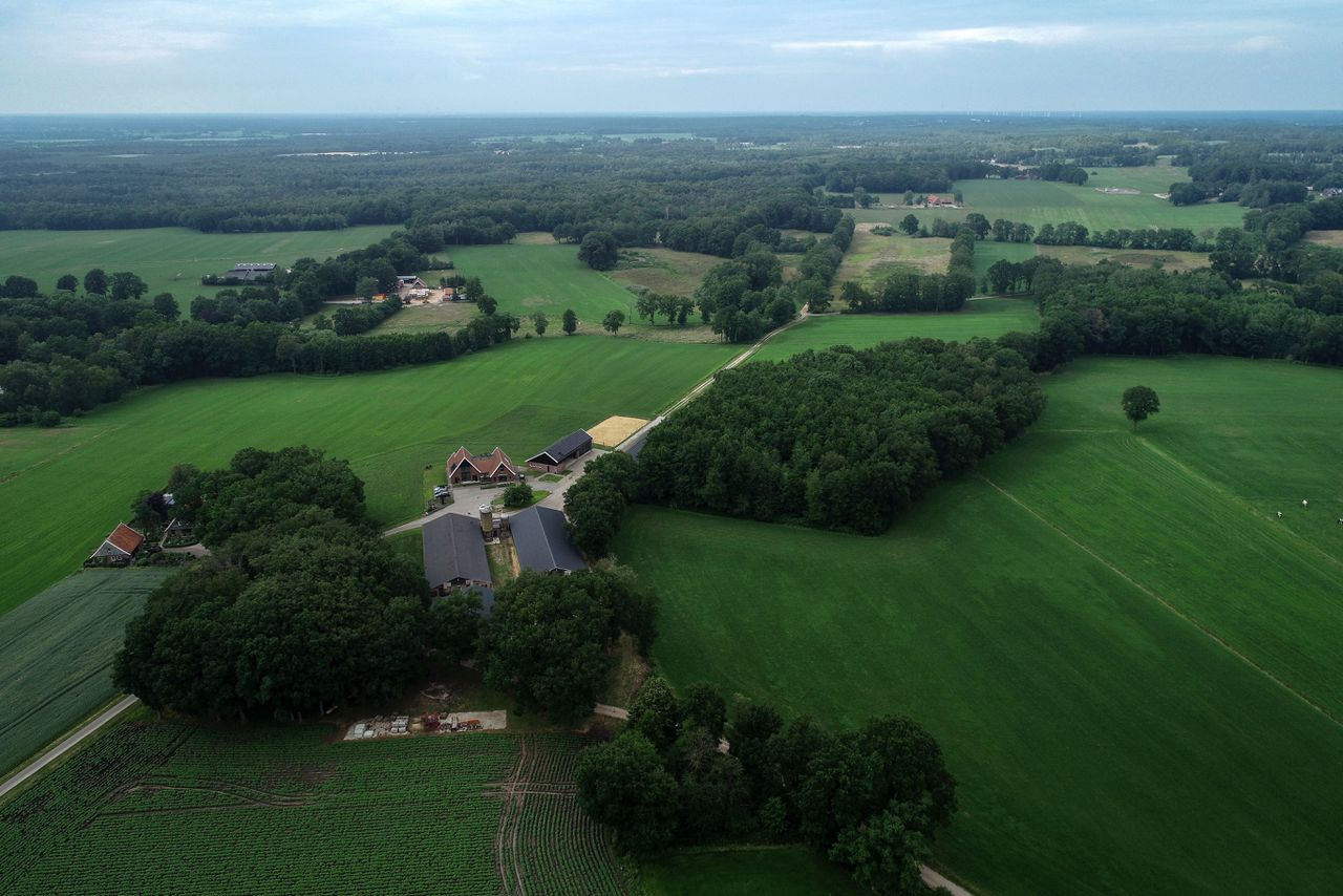Boerderij in Overijssel. Volgens het PBL zijn in die provincie, net als in Brabant en Gelderland, drastische ingrepen in de landbouw nodig om stikstofdoelen te halen.