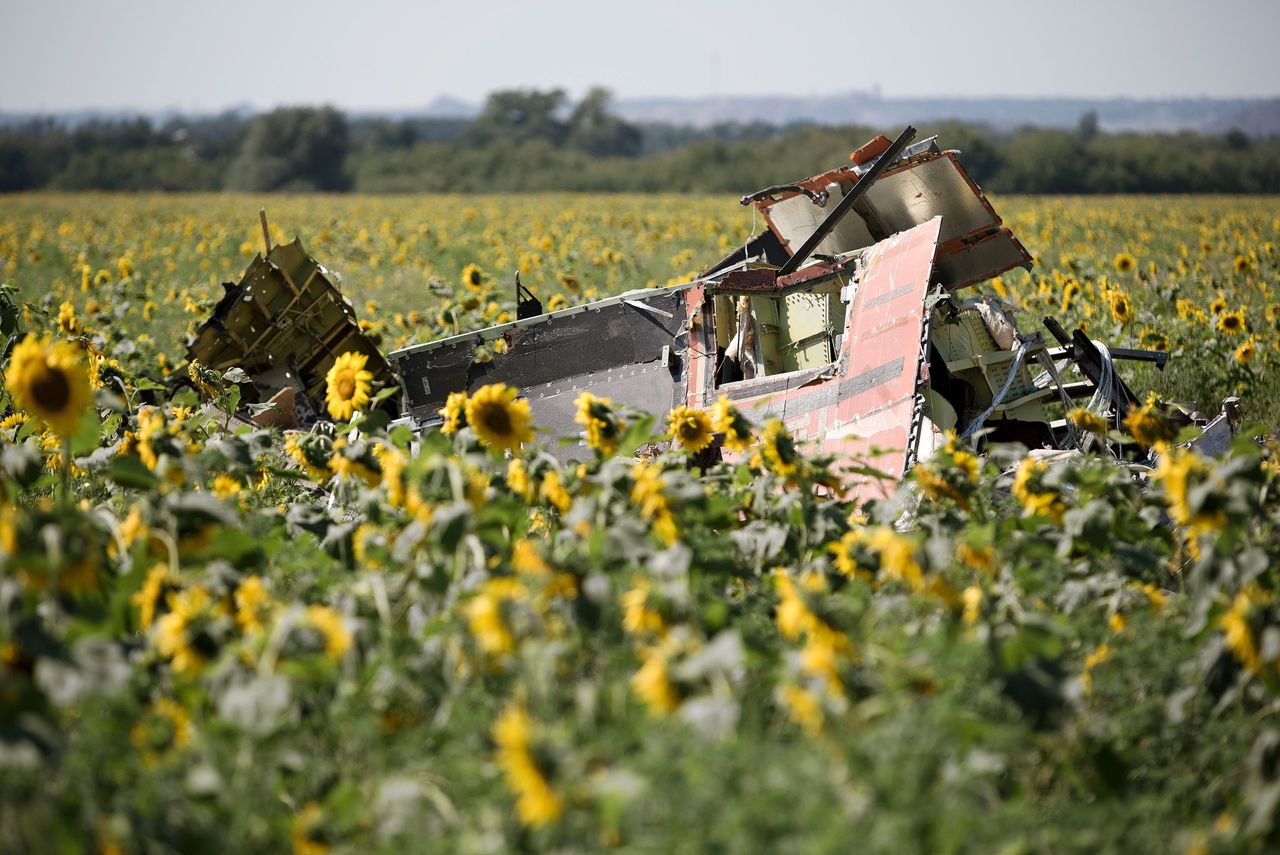 Zonnebloemveld in Grabovo, Oekraïne, de crashplaats van vlucht MH17