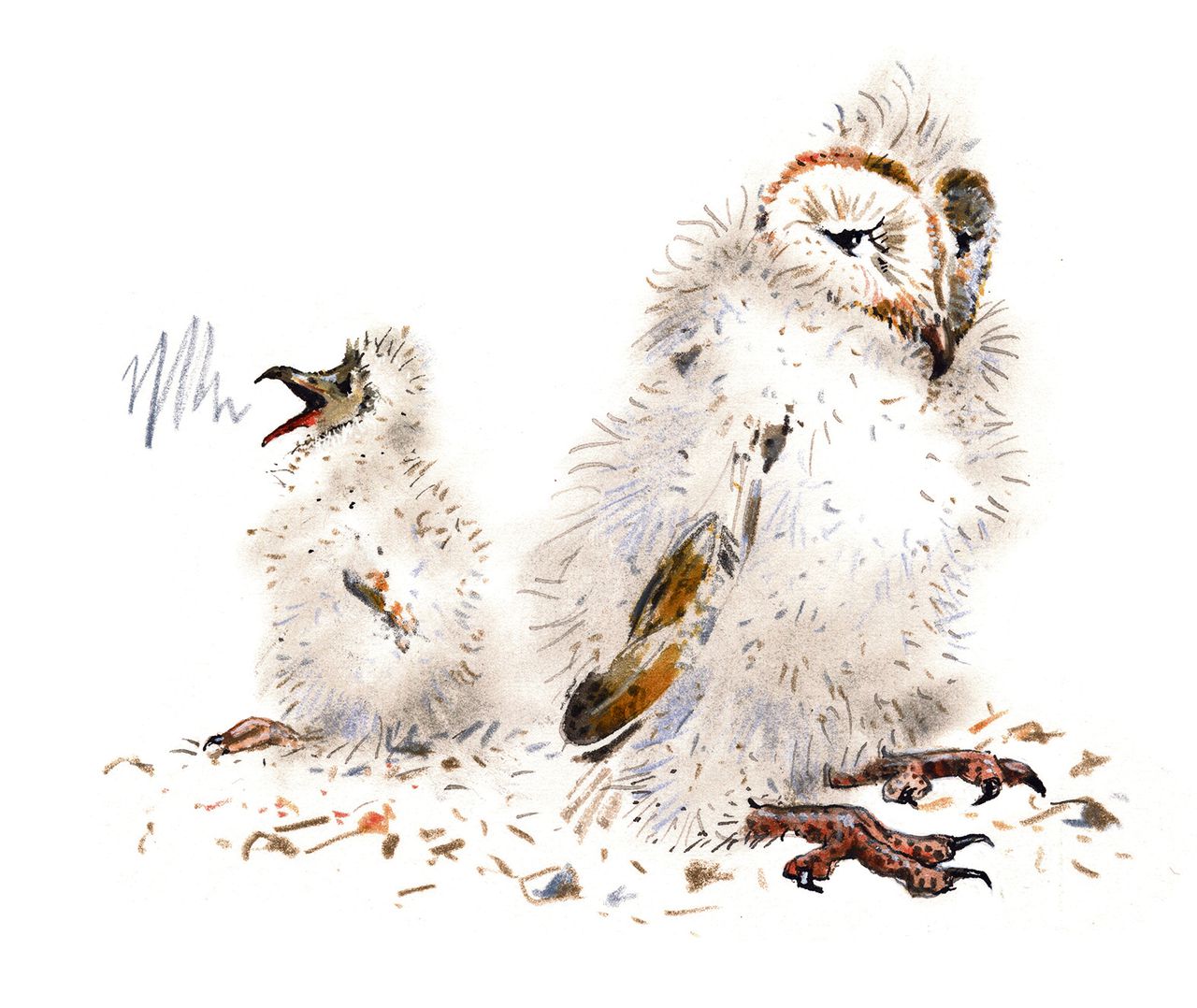 Illustratie Irene Goede