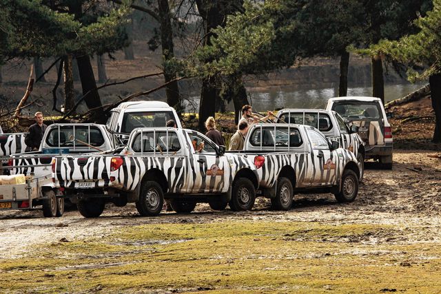 Tien dieren komen om door brandstichting bij safaripark ...