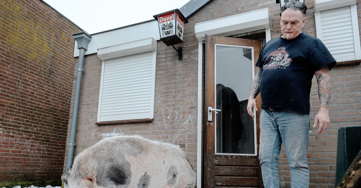 Corona, dat kon er in Korvel ook nog wel bij