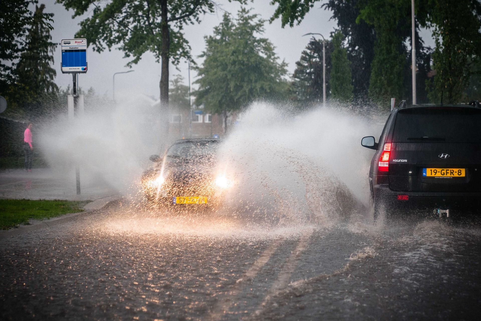 Noodweer teistert Nederland, vrouw omgekomen door omgevallen boom - NRC