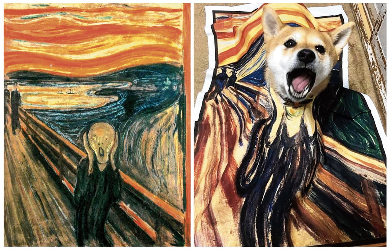 Natalia Rubina ‘doet’ Edvard Munchs De schreeuw voor de Russische Facebookpagina Izoizolyacia (‘isolatie’), waar mensen tijdens de coronalockdown thuis bekende kunstwerken uitbeelden.