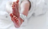 A new law provides insight into how many mass donors there are in the Netherlands.