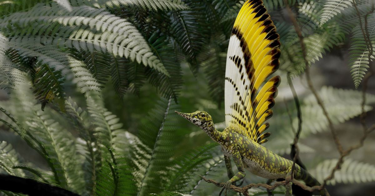 スプリングではないプルームで、この先史時代の爬虫類は進化を変えます
