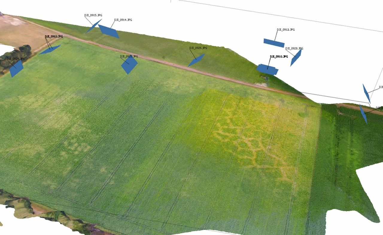 Aalden, Drenthe, prehistorisch akkersysteem. Ieder blauw vlak staat voor een foto.
