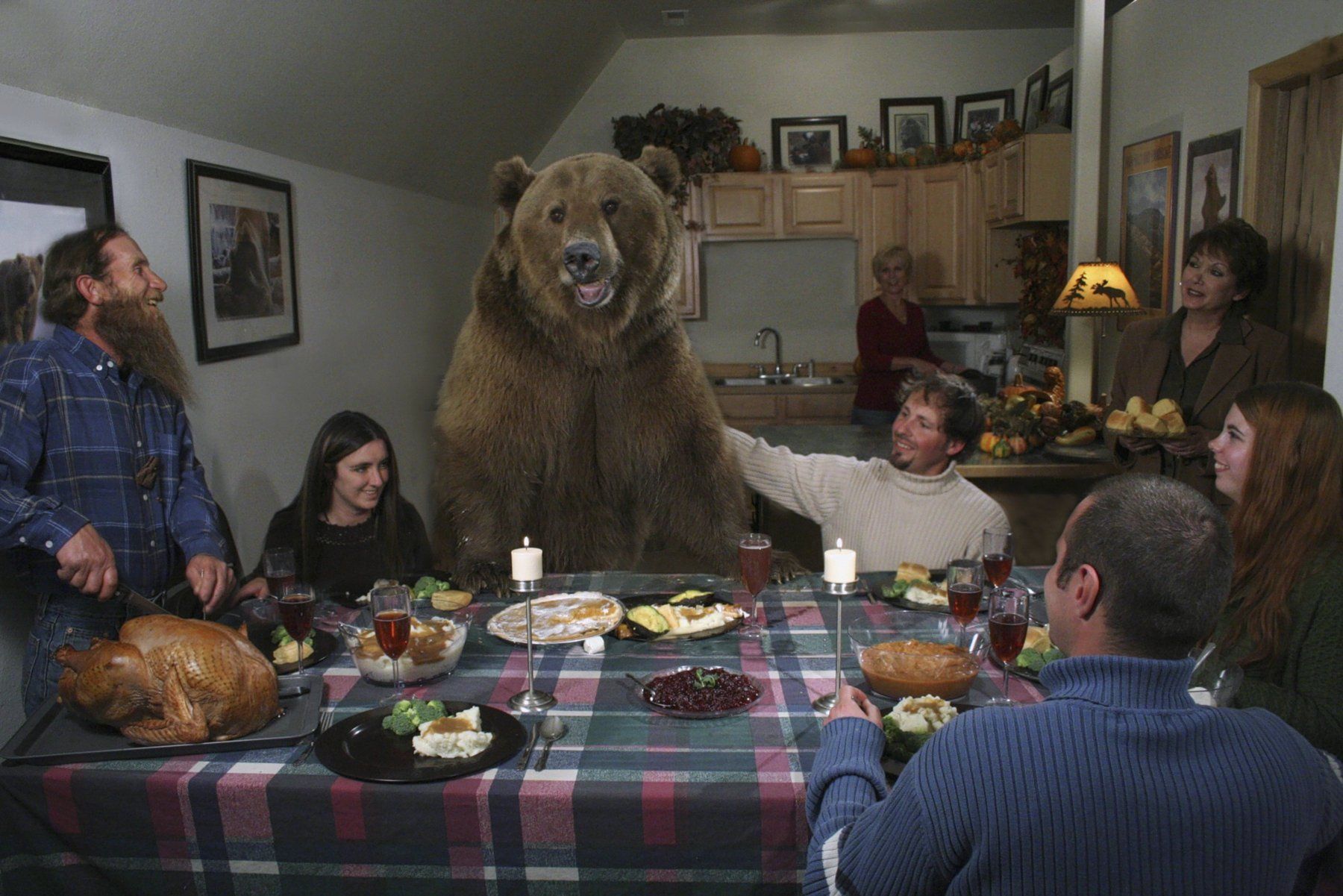 Bear table. Кейси Андерсон и медведь Гризли брут. Кэйси Андерсон. Медведь за столом. Медведь и человек Дружба.