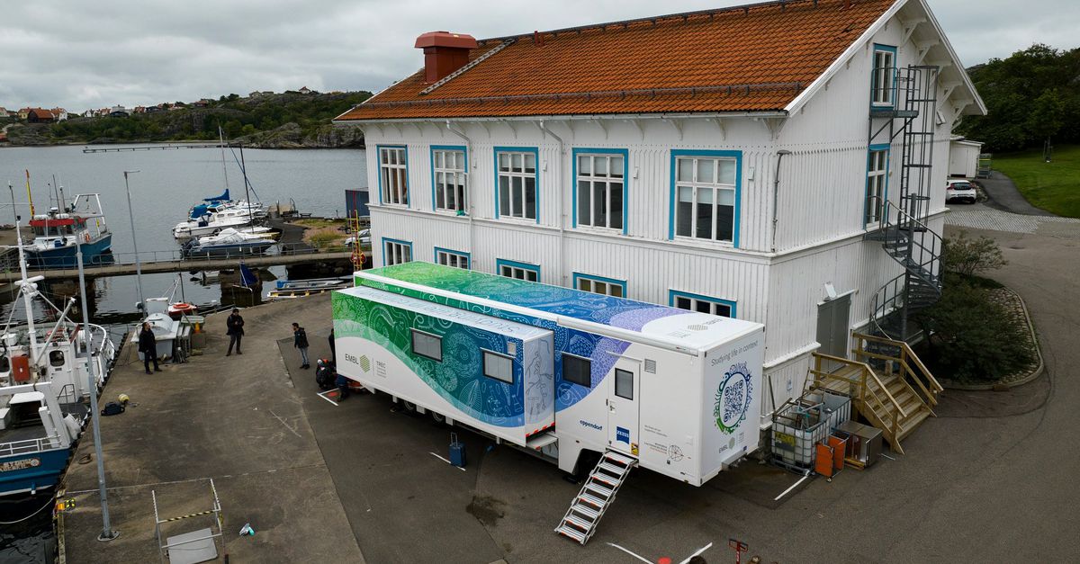 Rijdend door de ‘microbiële dierentuin’ van Europa gaat ook de academische hiërarchie overhoop