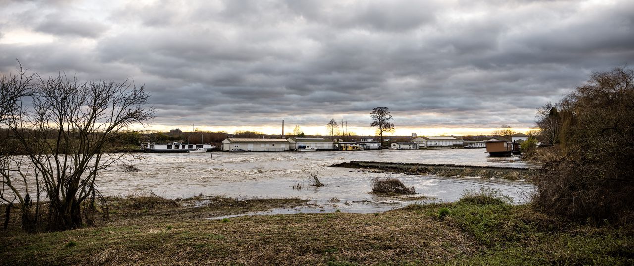 Noodweer in België zorgt voor wateroverlast, ook twee campings in Zuid-Limburg ontruimd  image