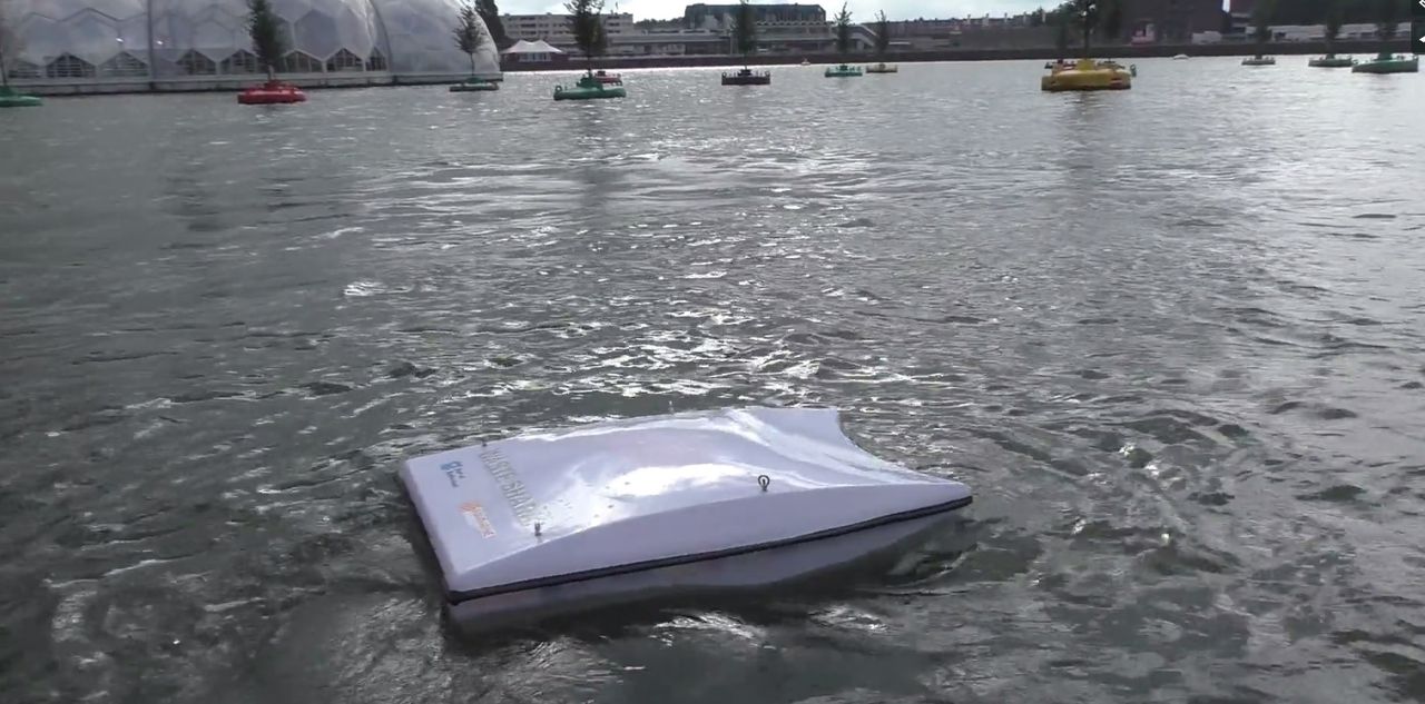 De eerste ‘baaihaai’ zwemt rond in Rotterdam 