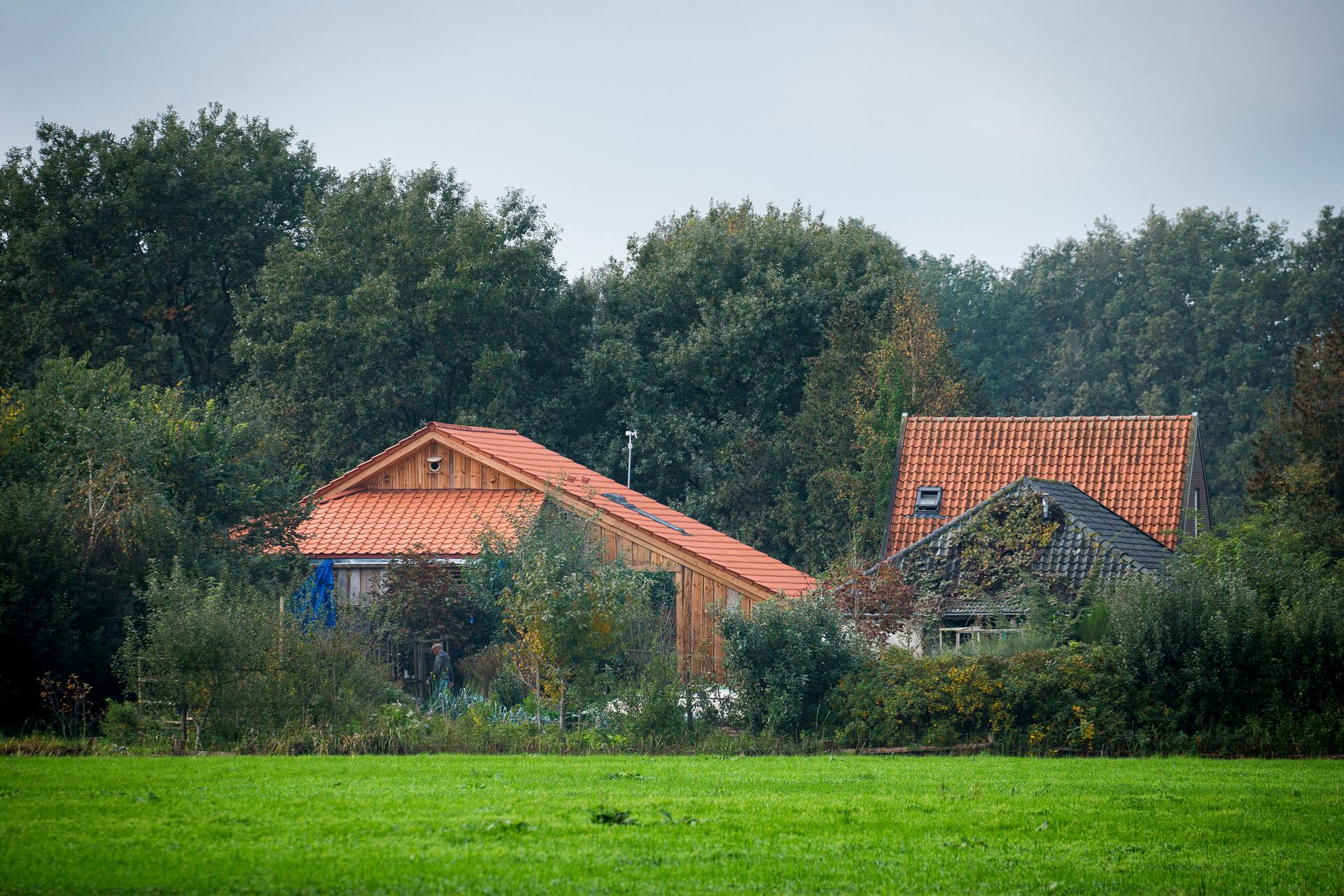 OM wil vader van de kinderen uit Ruinerwold niet vervolgen NRC