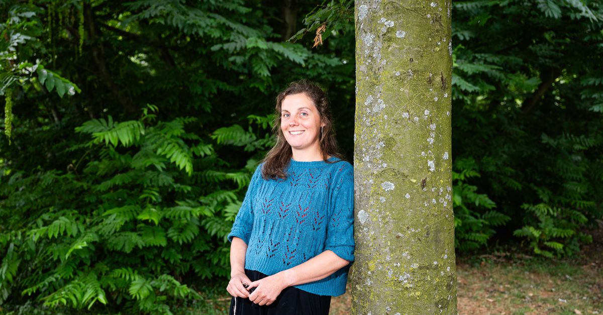 Lichens can survive under extreme conditions thanks to their interconnectedness