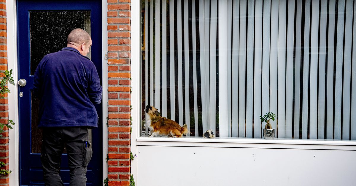 Kwetsbare baasje betekent vaak kwetsbaar huisdier – met soms ernstige verwaarlozing tot gevolg
