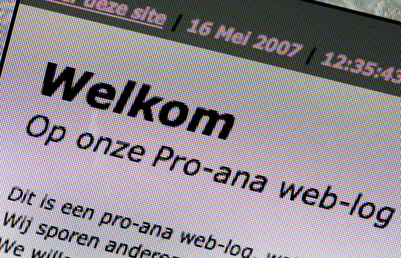 Screenshot van een Nederlandse pro-ana-website, waarop jonge meisjes elkaar tips geven om snel af te vallen.