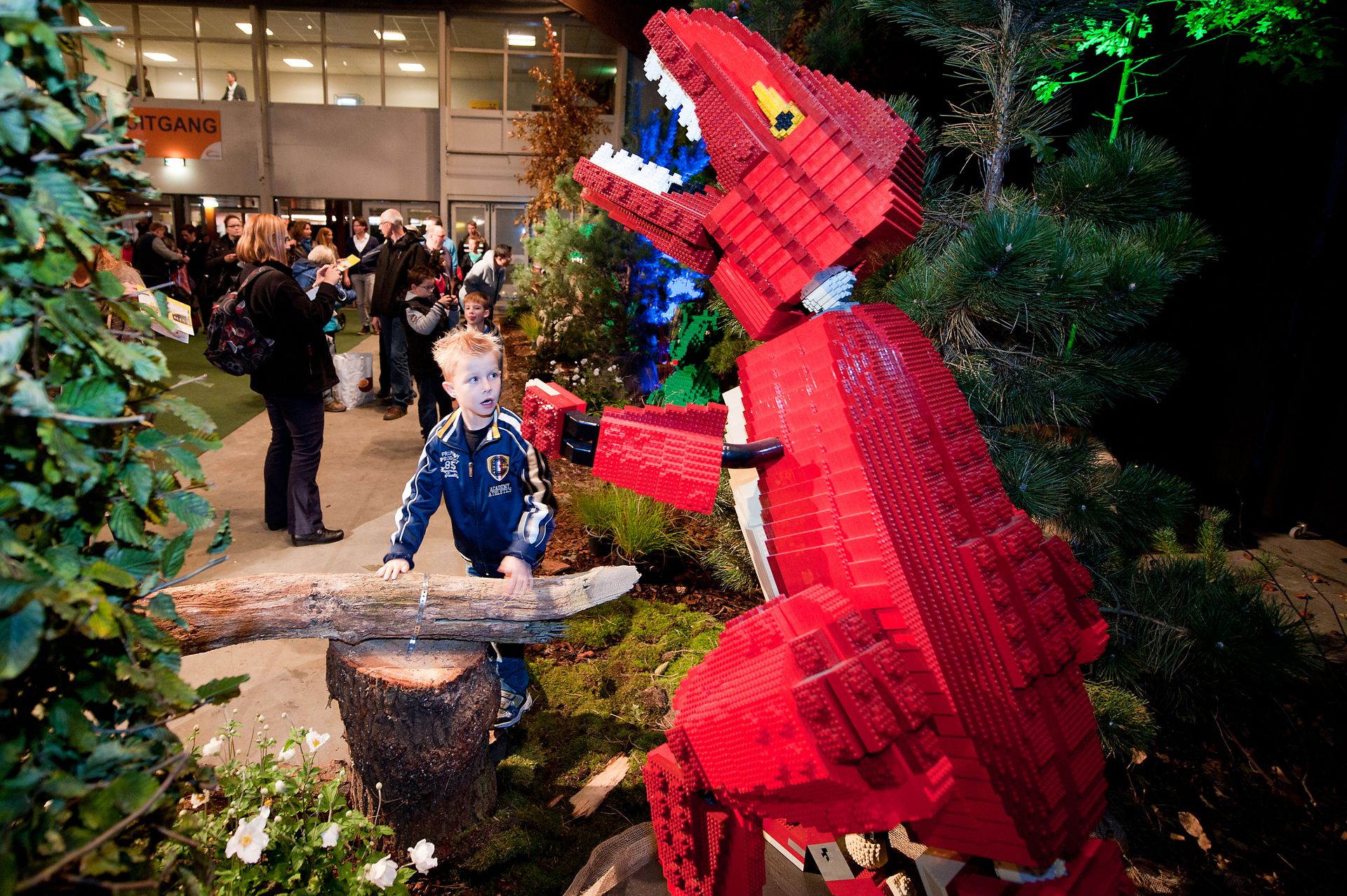 Самое Большое Lego Купить