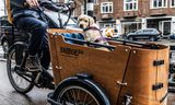 Een bakfiets van Babboe. Het bedrijf moet voorlopig stoppen met het verkopen van zijn bakfietsen, op last van de Nederlandse Voedsel- en Warenautoriteit. 