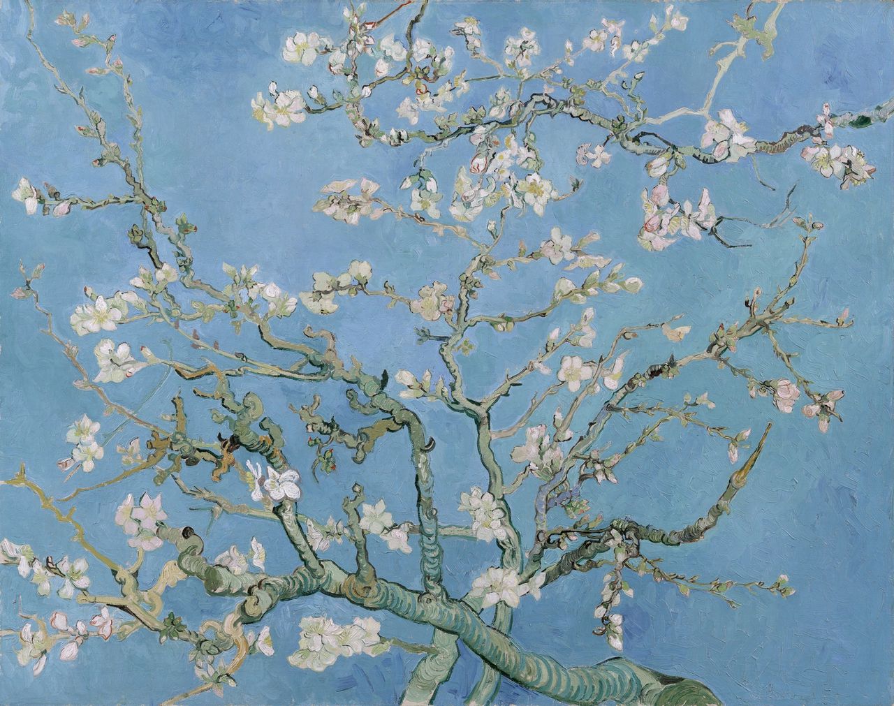 Vincent van Gogh, Amandelbloesem, geschilderd in Saint-Rémy-de-Provence, februari 1890.