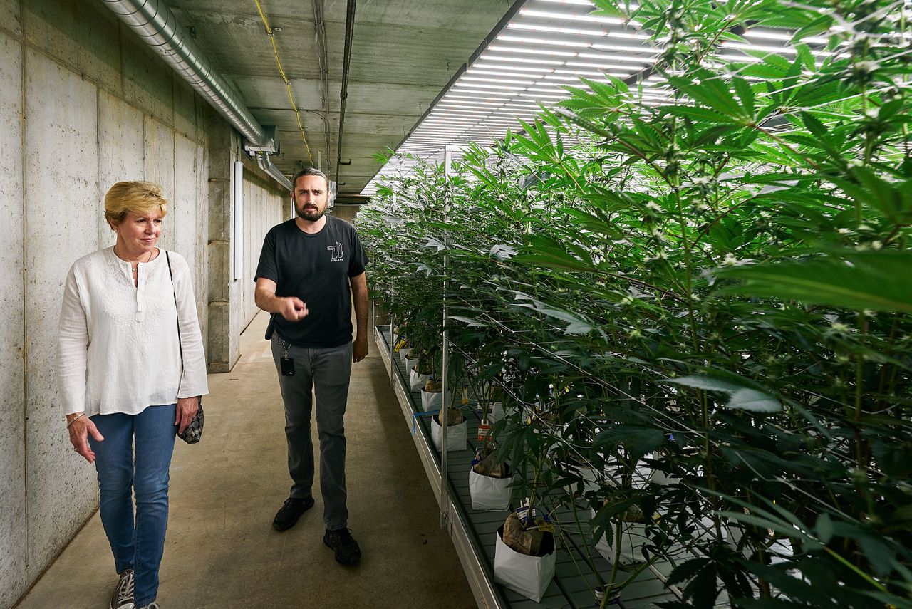 Wietonderneemster Mitch Meyers (links) inspecteert samen met haar kweekmanager Morgan McGovern de cannabisplanten in haar kwekerij in St. Louis, Missouri.