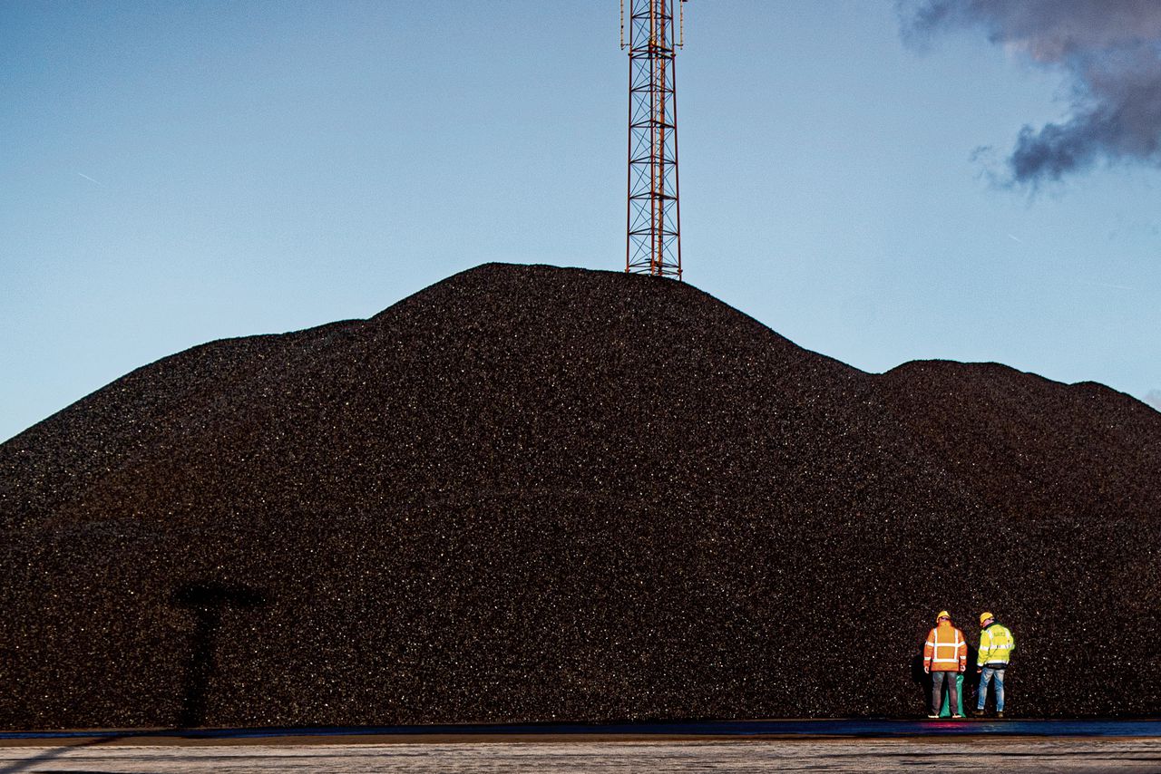 Een berg kolen wacht op vervoer in de Rotterdamse haven. Foto: Robin Utrecht