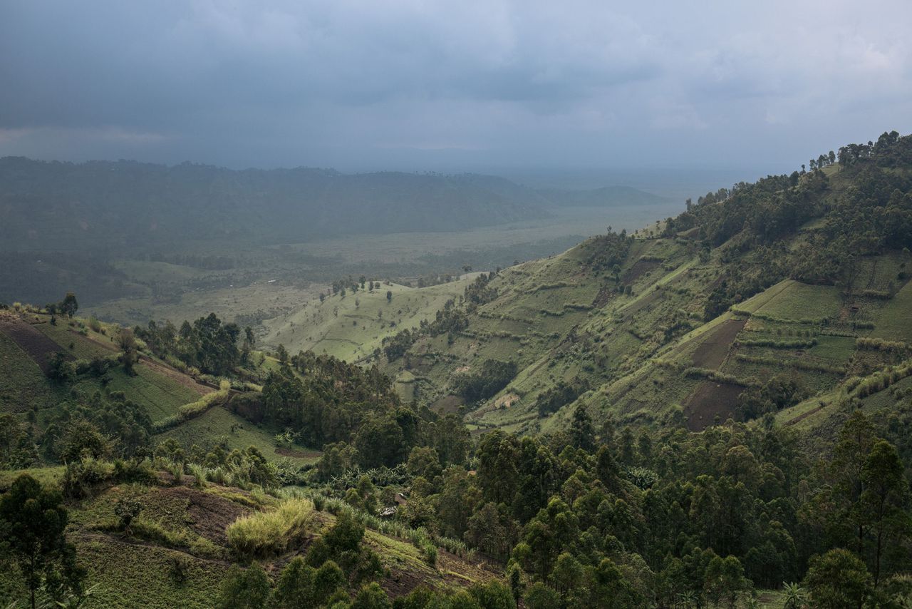 Het Virunga-natuurpark in Congo.
