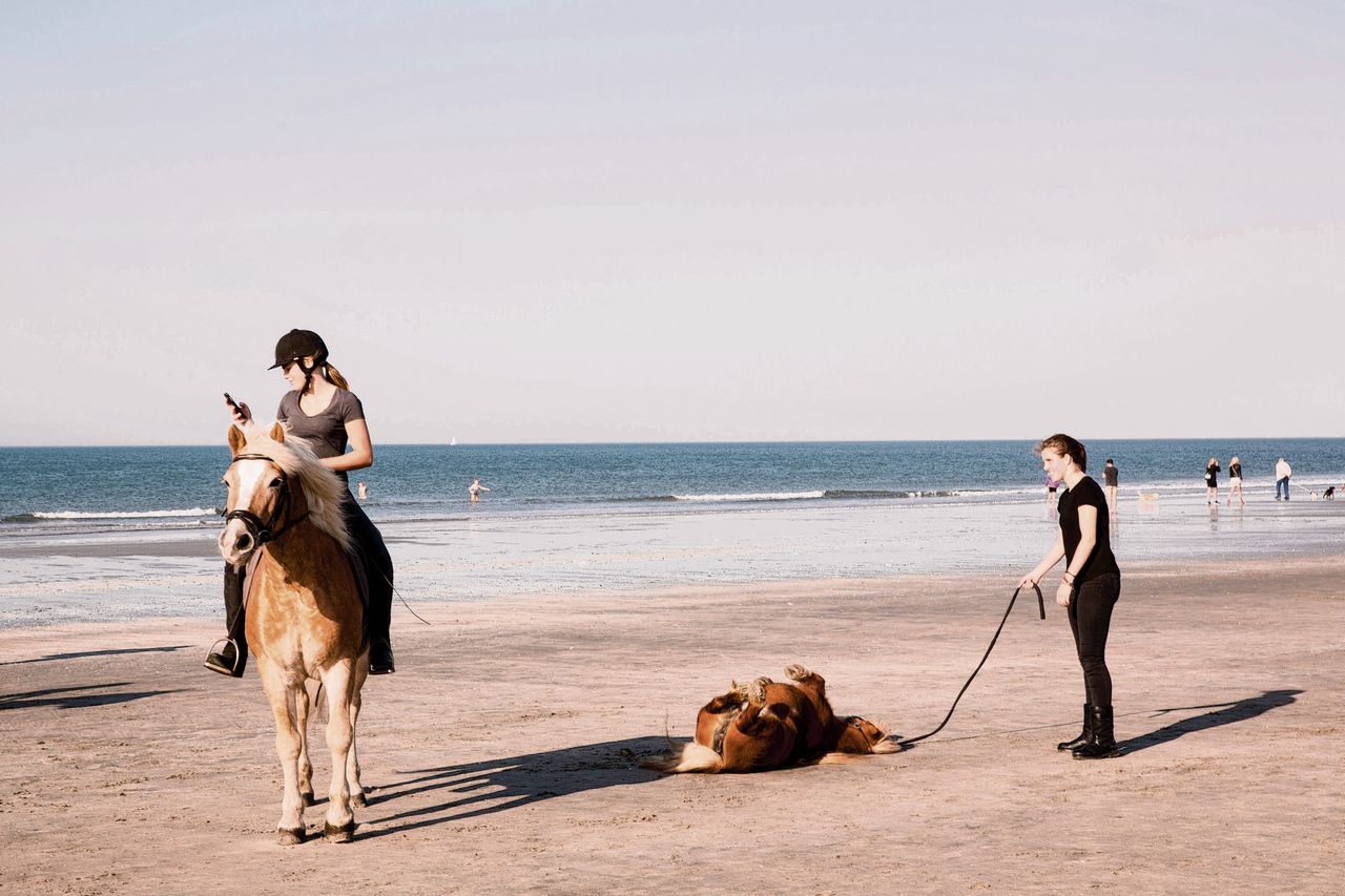 Get Wallpaper Drukte Op Het Strand Nrc Free HD