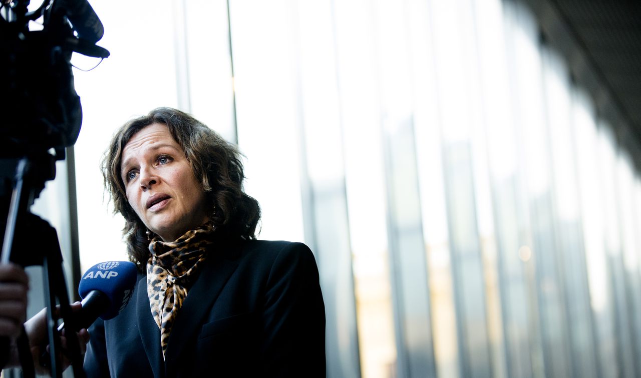Minister Edith Schippers