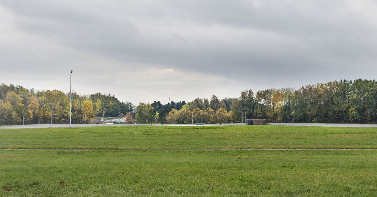 50 jaar, stond in het gras. Ernaast in roze: Pinkpop - NRC